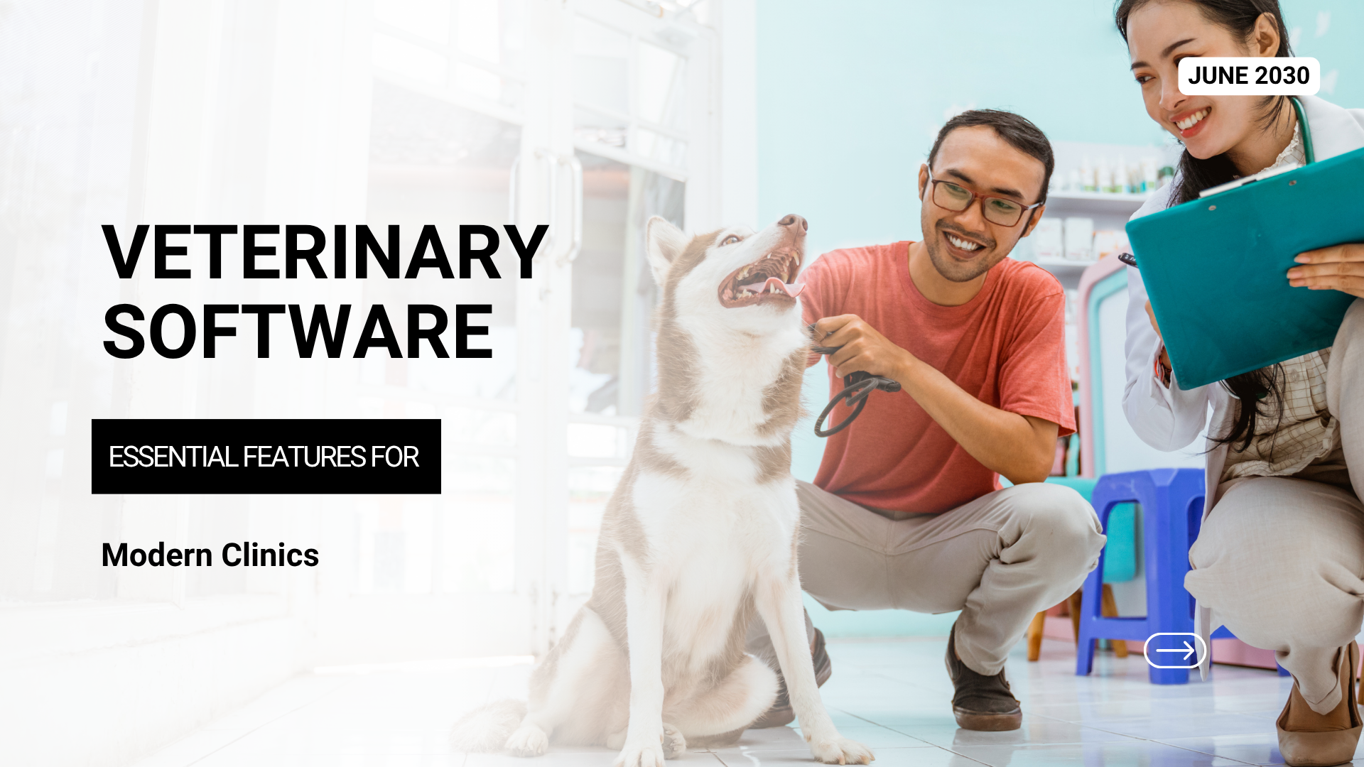Veterinary Software: Essential Features for Modern Clinics